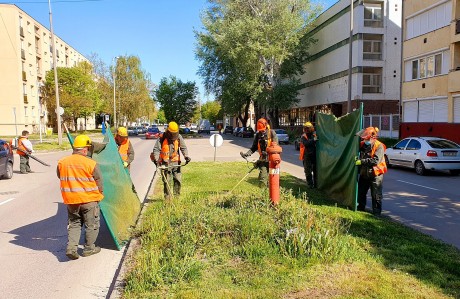 Így zajlanak a zöldterület fenntartási feladatok a Városgondnokságon